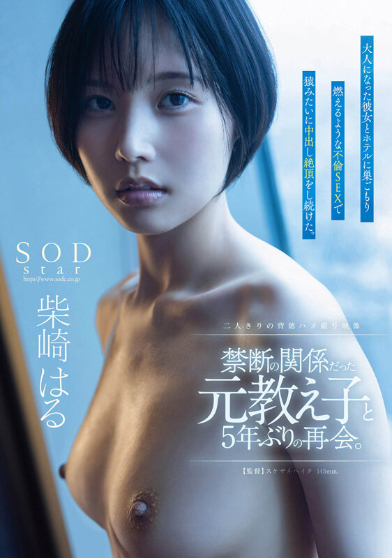 「柴崎はる 初ベスト総集編！SOD女子社員から人気女優へ22作品10時間スペシャル完全保存版」のサンプル画像19枚目